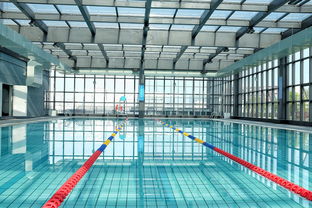 华体会体育在线登录-世界游泳锦标赛中国运动员连续夺牌,世界游泳锦标赛中国运动员连续夺牌几次