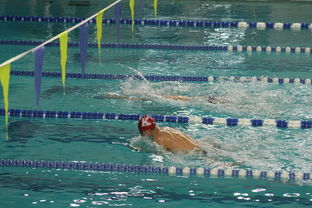 华体会官网入口-世界游泳锦标赛中国队再创佳绩，泳池之王再添金牌，世界游泳锦标赛冠军名录