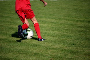 华体会官网体育-球队在小组赛中展现稳固防守体系，球队防守效率高好还是低好